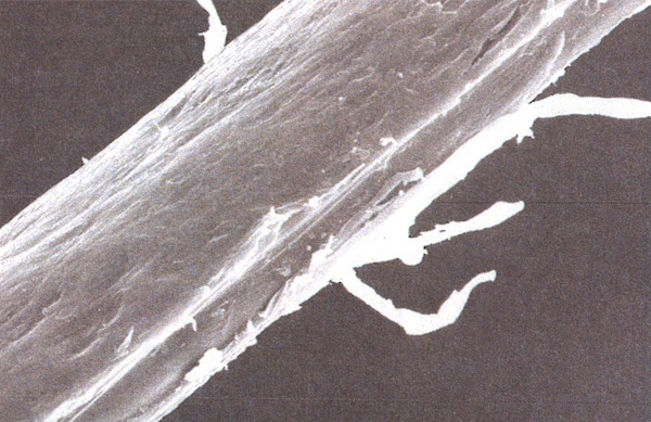 Close up of Nour filament demonstrating surface conditioning
