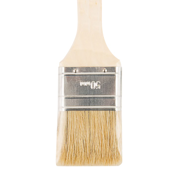 Image of Throwaway Brush